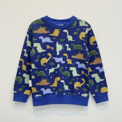Sudadera DINOS