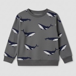 Conjunto sudadera y...