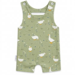 Peto aires PATOS