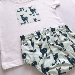 Conjunto BAMBI